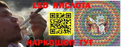 трава Новозыбков