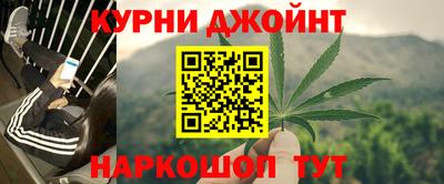 трава Новозыбков